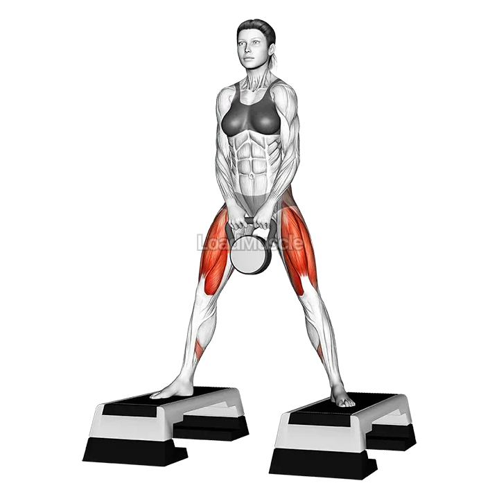Kettlebell Dumbbell Sumo Squat off Stepbox demonstration