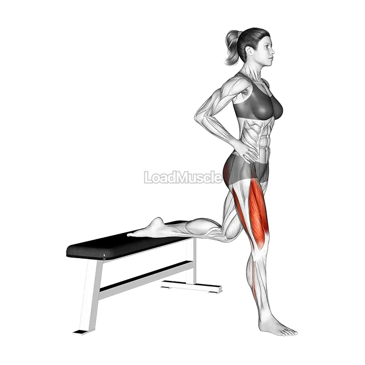 Split Squat demonstration