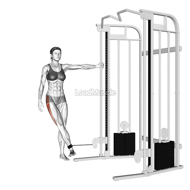 Cable Hip Abduction (toe out) demonstration