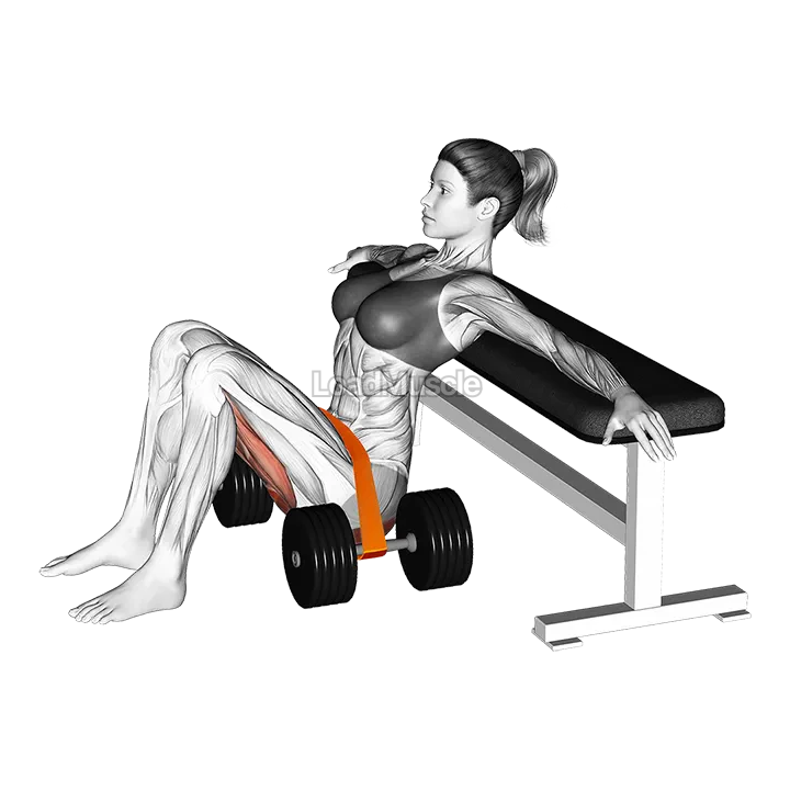 Resistance Band Hip Thrust demonstration