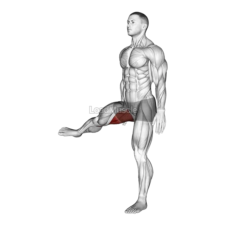 Hip - Adduction demonstration