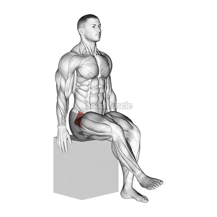 Hip - Medial Rotation (Internal Rotation) demonstration