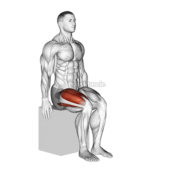 Knee - Extension demonstration