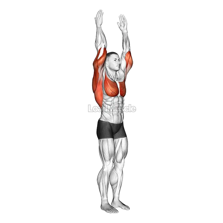 Shoulder - Extension demonstration