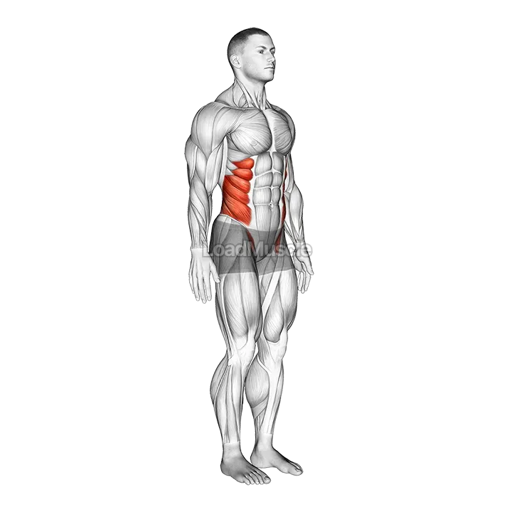 Spine (Lumbar) - Rotation demonstration