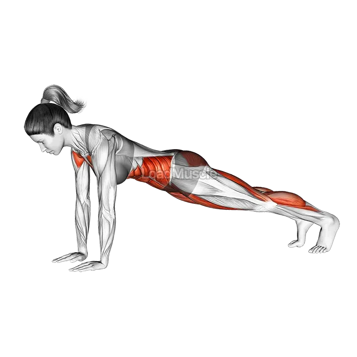 Plank Jump demonstration