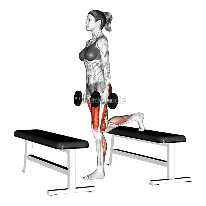 Dumbbell Step up Lunge demonstration