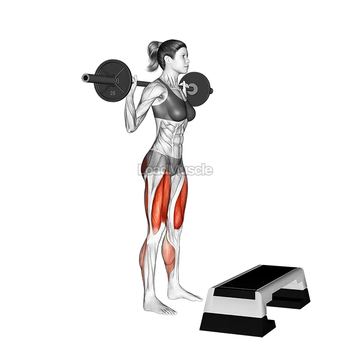 Barbell Squat Jump Step Rear Lunge demonstration