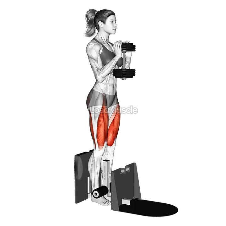 Dumbbell Supported Squat demonstration