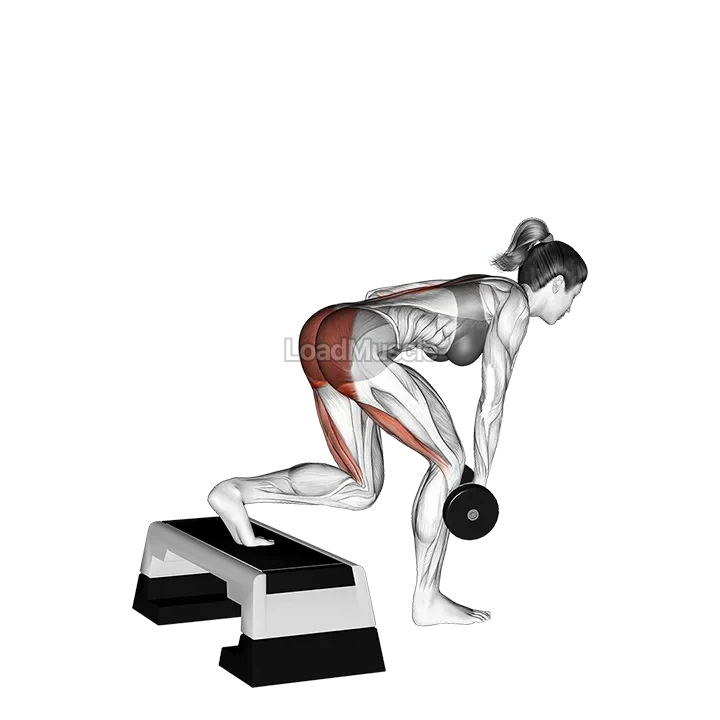 Dumbbell Single Leg Deadlift with Stepbox Support demonstration
