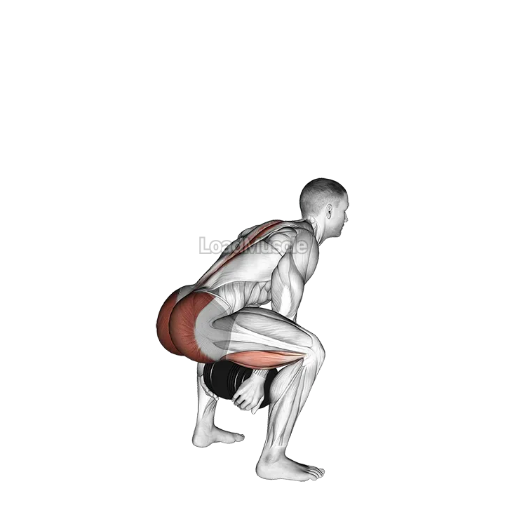 Dumbbell Sumo Pull Through demonstration