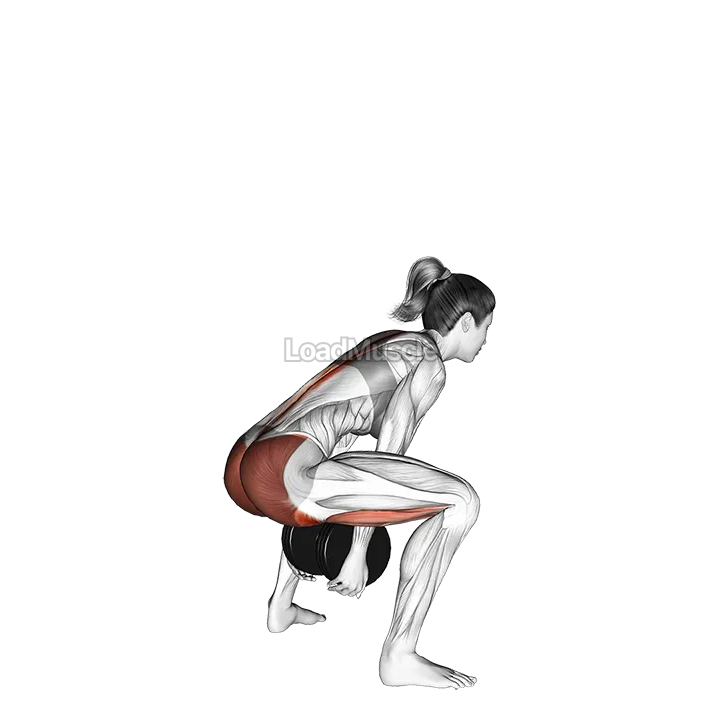 Dumbbell Sumo Pull Through demonstration