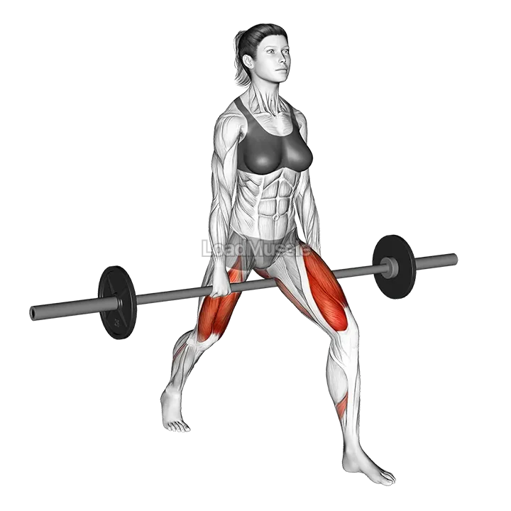 Barbell Split Squat demonstration