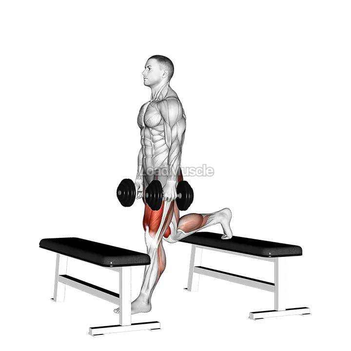 Dumbbell Step up Split Squat demonstration