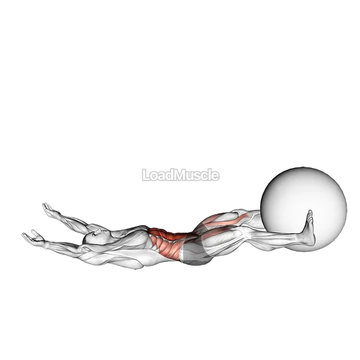 V-Up Down (with Stability ball) demonstration