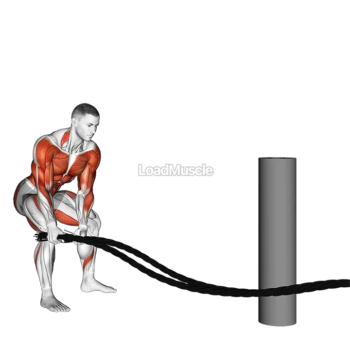 Battling Ropes Side Raise demonstration