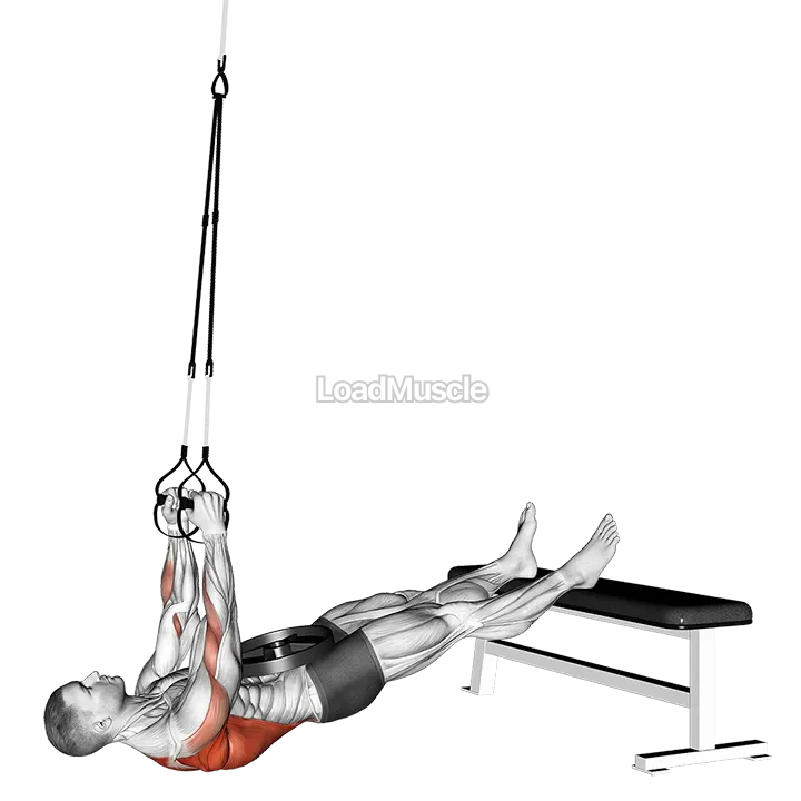 Suspender Weighted Inverted Row demonstration