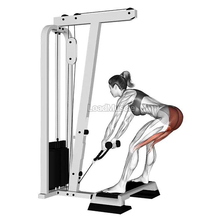 Cable Stiff Leg Deadlift from Stepbox demonstration