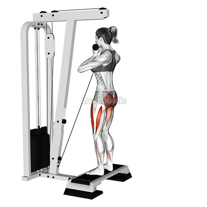 Cable Rear Lunge from Stepbox demonstration