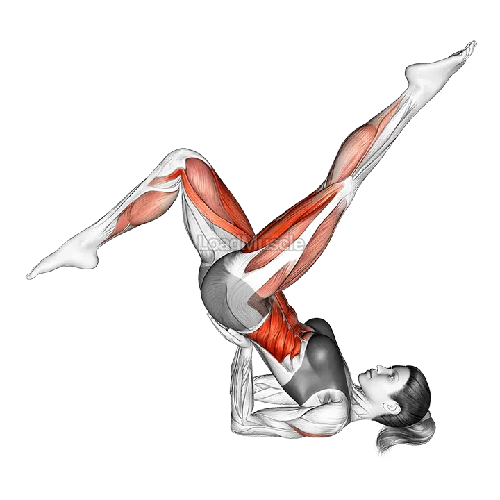 Bicycle demonstration