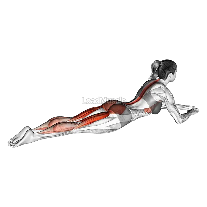 Lying Single Leg Kick demonstration