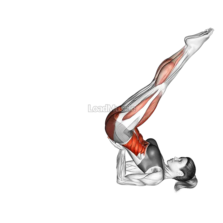 Scissors demonstration