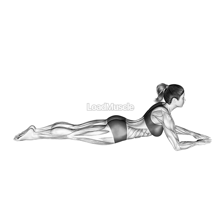 Swan Dive demonstration