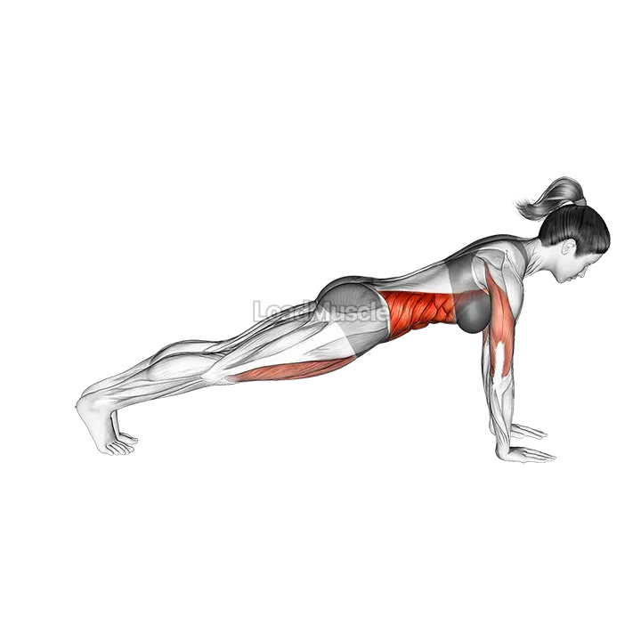 Leg Pull Front Supported demonstration