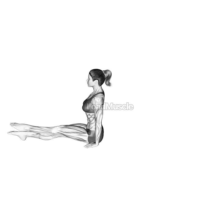 Boomerang demonstration