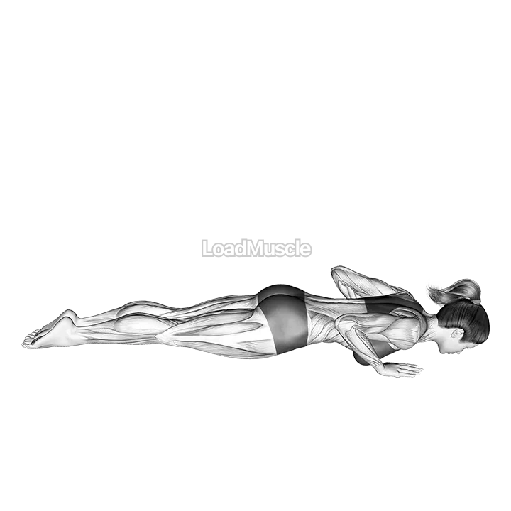 Prone Press Swan demonstration