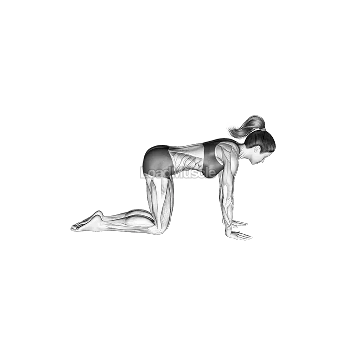 Swimming All Fours demonstration