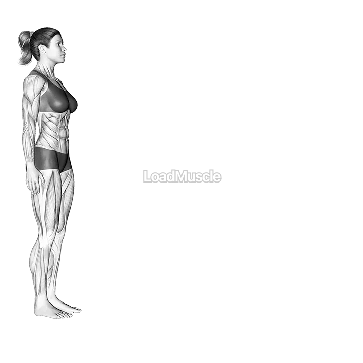 Push-up demonstration