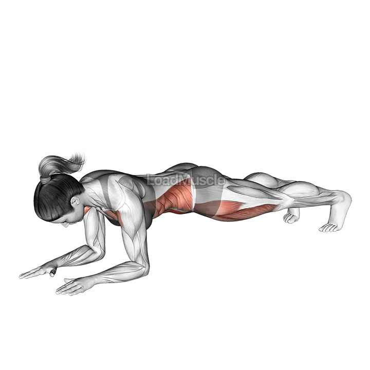Front Plank to Push-up demonstration