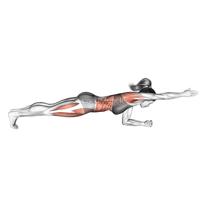 Front Plank with Arm Lift demonstration