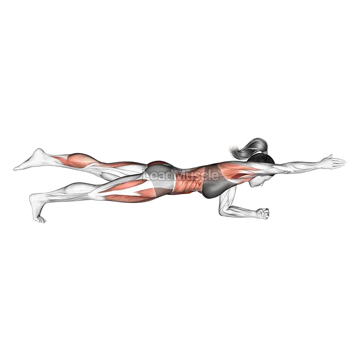 Front Plank with Arm and Leg Lift demonstration