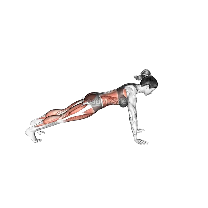 Front Plank with Arm and Leg Lift (push up position) demonstration