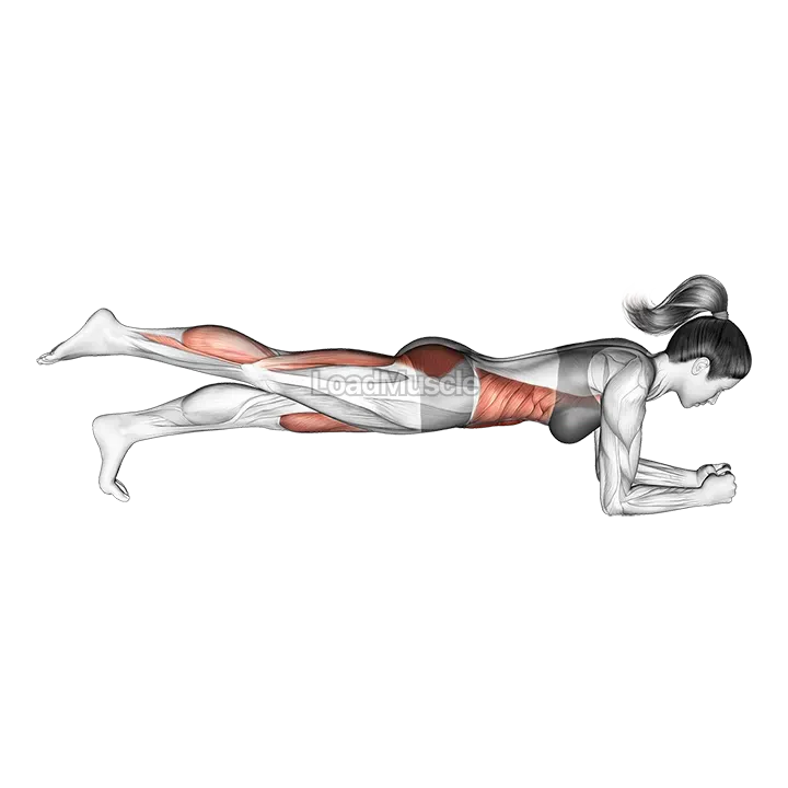 Front Plank with Leg Lift demonstration