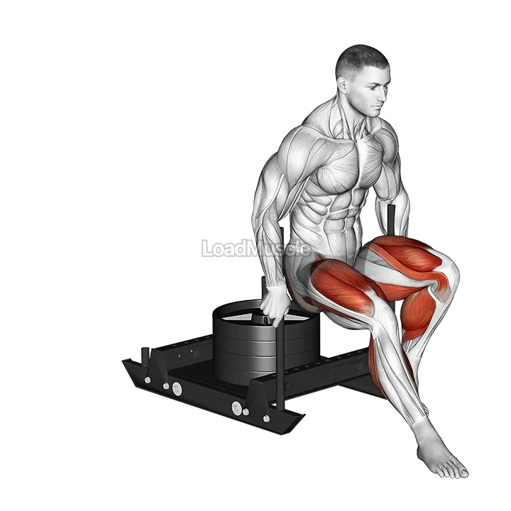 Power Sled Backward Push demonstration