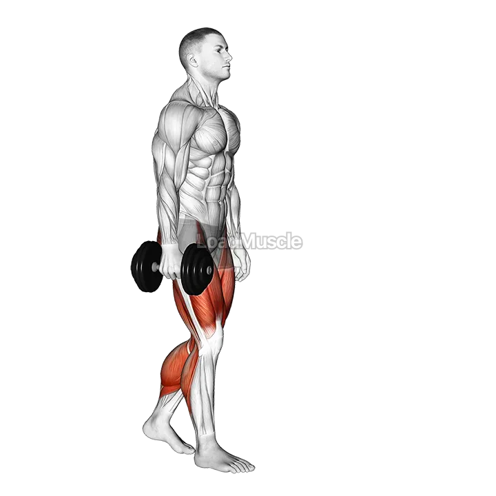 Dumbbell Suitcase Carry demonstration
