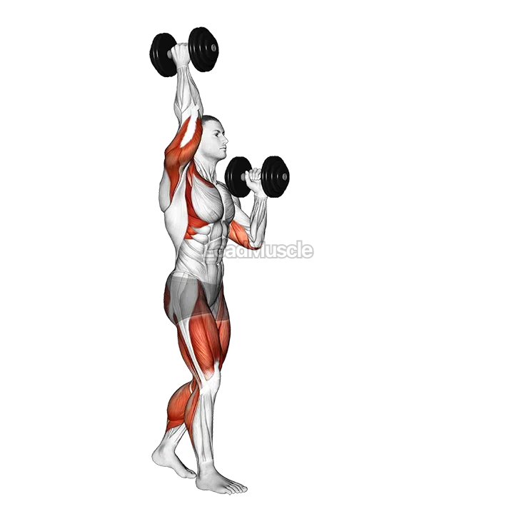 Dumbbell High Low Carry demonstration