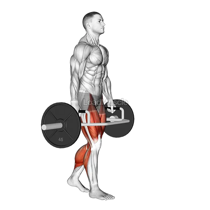 Trap Bar Farmers Carry demonstration