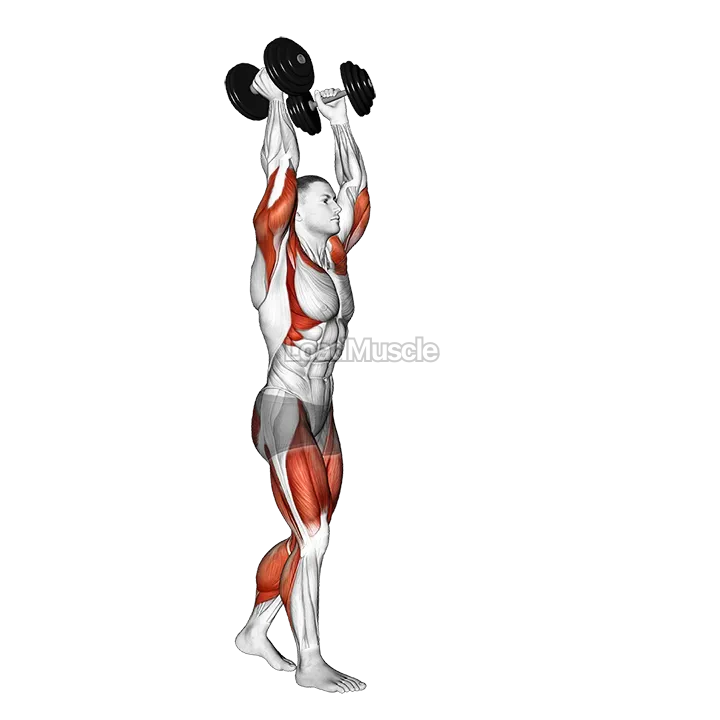 Dumbbell Overhead Carry demonstration