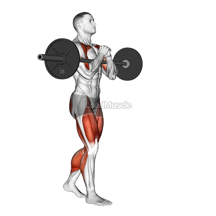 Barbell Zercher Carry demonstration