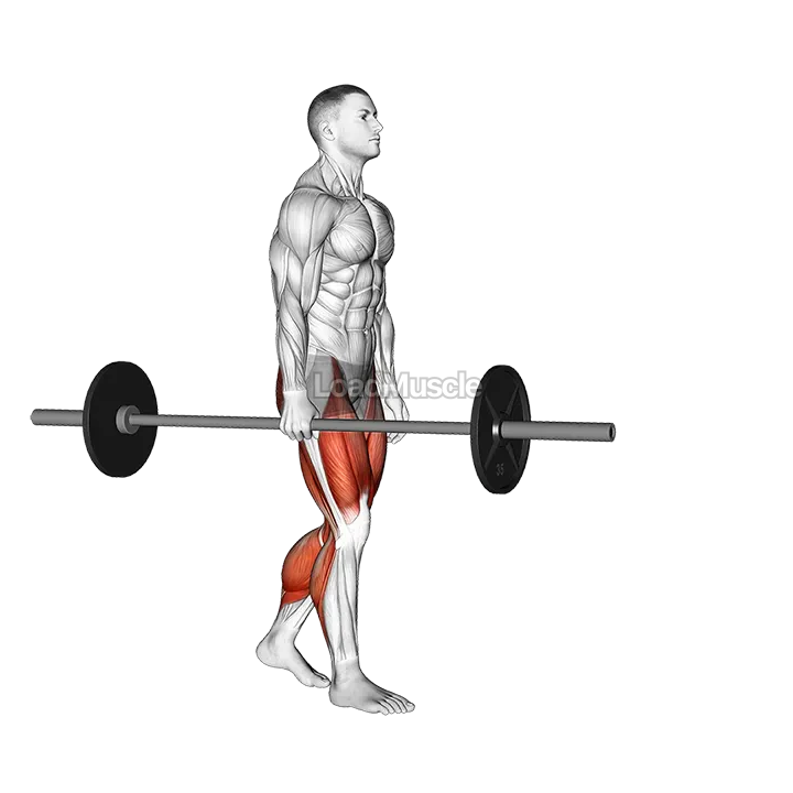 Barbell Suitcase Carry demonstration