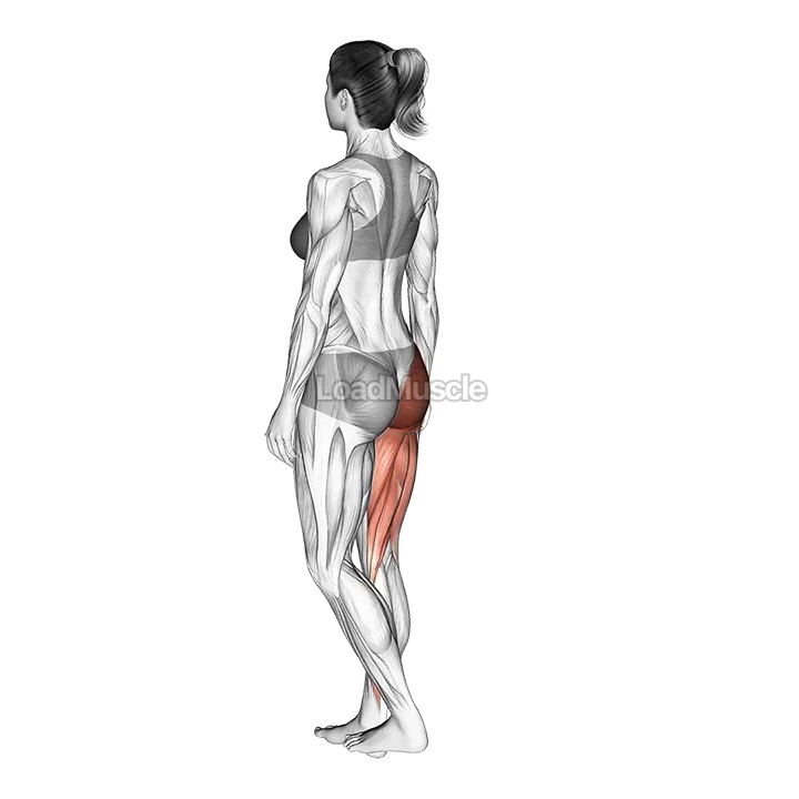 Single Leg Bodyweight Deadlift with Arm and Leg Extended demonstration