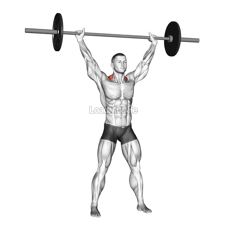 Barbell Overhead Shrug demonstration