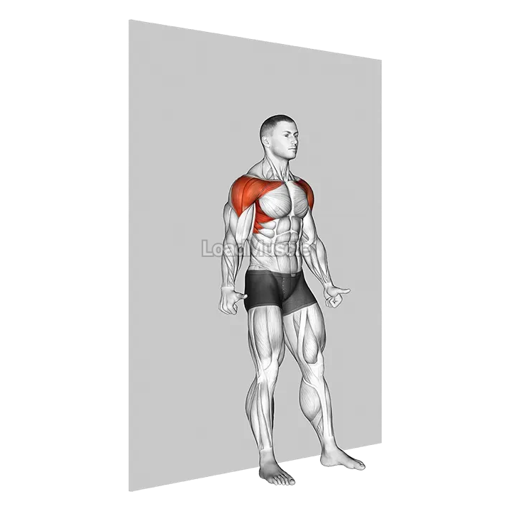 Shoulder Flexion Back to Wall demonstration