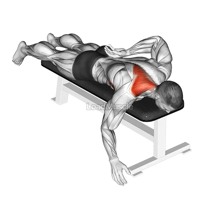Prone Single Arm Trap Raise demonstration