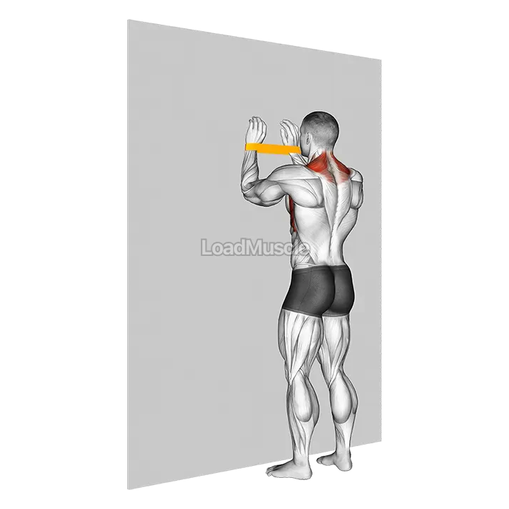 Resistance Band Spider Crawls demonstration