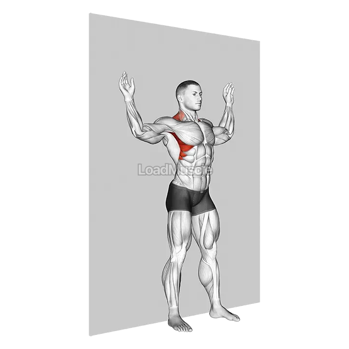 Scapular Slide Back to Wall demonstration